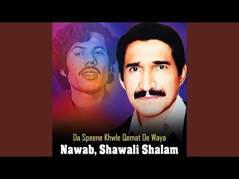 Waseyat Ta Me Ghwag Shai