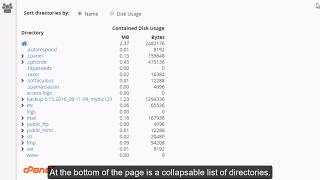 How to use the Disk Space Usage tool in cPanel