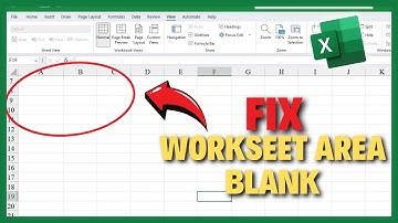 [FIXED] Excel Worksheet Area is Grayed Out or Blank