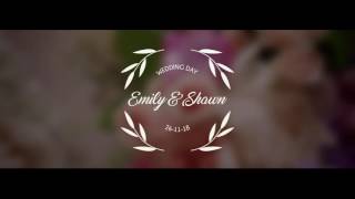 Wedding Titles Pack After Effects Template