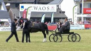 Pencampwriaeth Gyrru Cymreig | Welsh Driving Championship