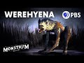 Werehyena: The Terrifying Shapeshifters of African Lore | Monstrum