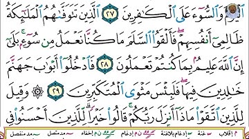 (06) تلاوة بصوت القارئ هزاع البلوشي سورة النحل، الآيات: 27-31
