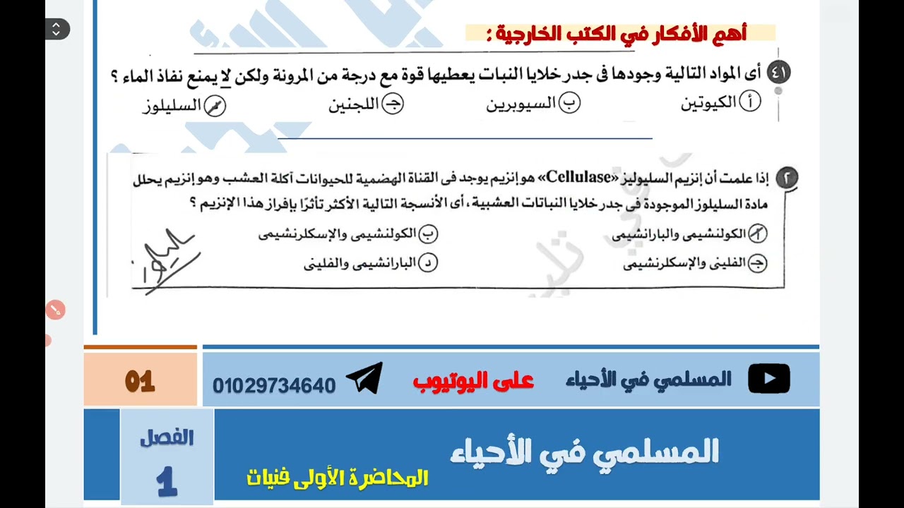 اهم 40 دقيقة | في الدعامة في النبات | شرح اقوى الملاحظات والتركات على الدرس | + حل أكثر من 60 سؤال |