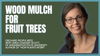 Wood Mulch for Fruit Trees with Linda ChalkerScott. #fruittrees
