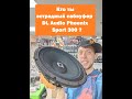 Кто ты эстрадный сабвуфер DL Audio Phoenix Sport 300 ?