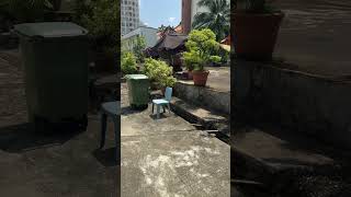 Download Lagu SUBSCRIBE NOW👉Pintu masuk stadio jalan ampas #singaporevlog #singapore MP3