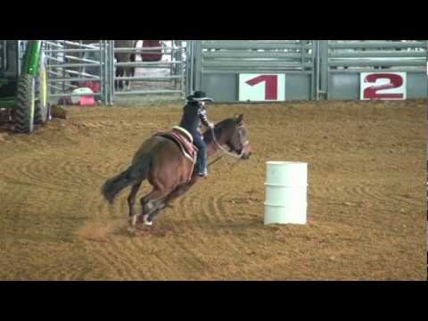 barrel racing{6 yr old codi jo halley]