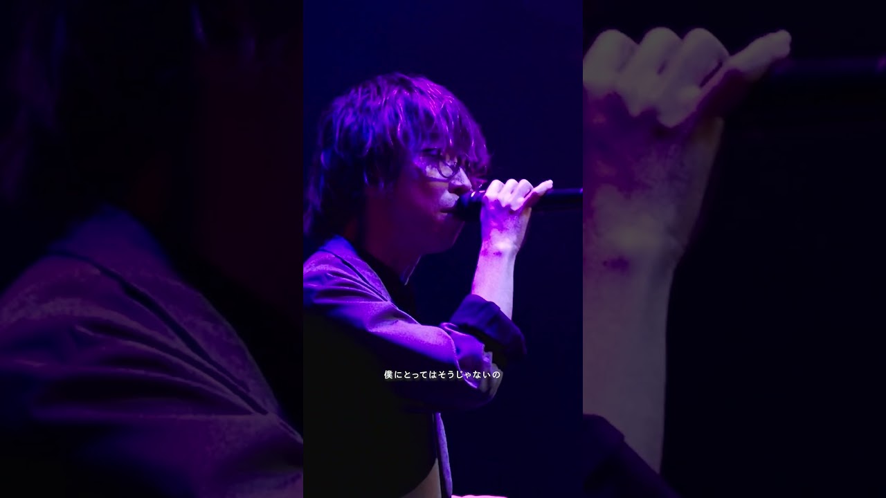 #正義と悪 Live Video from Billboard Live Tour 2025 #wacci
