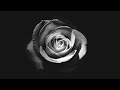 Black Atlass Intoxicated Black Atlass Intoxicated