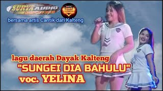 YELINA ~SUNGEI DIA BAHULU~ bersama Surya Audio  || LAGU DAYAK KALTENG di Tondoh KUBAR 25 mei 2023