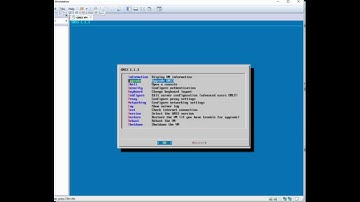 Flash labs: Install docker images manually on GNS3 VM.