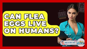 Can Flea Eggs Live On Humans? - Ask A Pet Vet