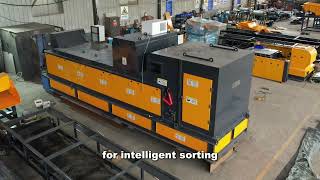 Information X-Ray Sorter for Aluminum & Zinc Separation | XRT Sorting Technology Guide