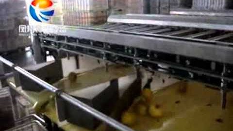 Fruit Grading and sorting machine