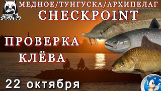 🌟РУБРИКА CHECKPOINT 🌟ВЫПУСК 18🌟МЕДНОЕ / ТУНГУСКА /АРХИПЕЛАГ🌟Русская Рыбалка 4(РР4)🌟