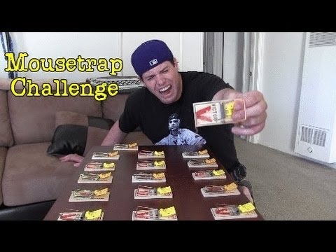 The Mouse Trap Challenge