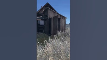 When DayZ Zombies Start Following the Script