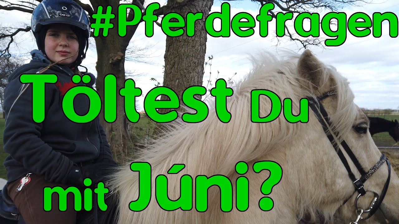 #Pferdefragen