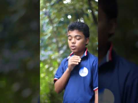 Colonelkkjϟ Duet Darood Funnyclip Unfrezzmyaccount Lifeisbutadream Funny Funnymovie Funnyvi