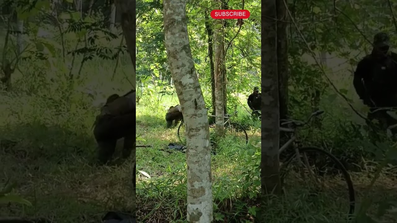 AEG vs SPRING hasilnya sudah pasti 