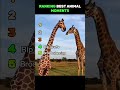 Ranking Best animal moments #funny #memes #animals