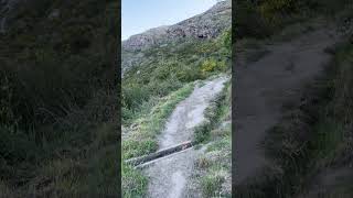 IMG 1177
