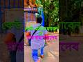 🔱“মহাদেবের ছায়ায় শান্তি, ভক্তি আর শক্তির অনুভূতি ওঁ নমঃ শিবায় 🙏#reels #viral#video #dronevideo#love