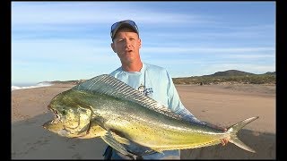 Jansen, Jumping Dorados