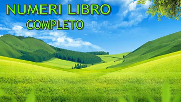 Cosa racconta il libro dei numeri?