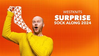 Surprise Sock Along 2024