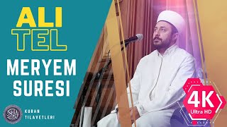 ALI TEL | MERYEM SURESI