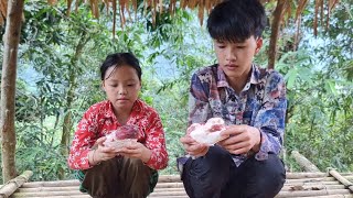 The wandering boy and the lost girl, Harvest sugarcane to sell, Cook noodles to eat