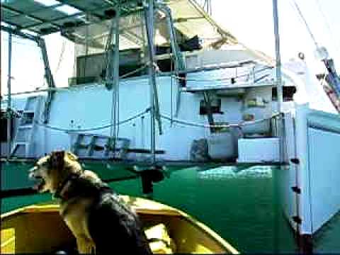 bernies to airlie berach 013
