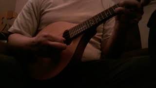Yiddish Mandolin solo - Ale Brider (We Are All Brothers)