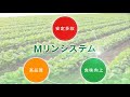 Mリンシステム解説映像『アクセル＆ブレーキ』