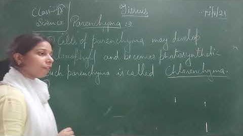 Class IX Science 17 07 2021 by Ms Mridulata upadhyay Tissues