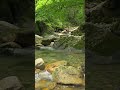 Natural Water Sounds