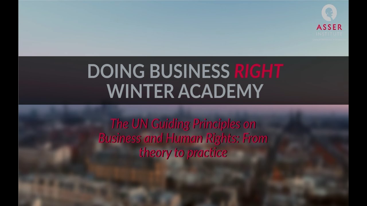 The UN Guiding Principles on Business and Human Rights (Asser Winter Academy 2019)