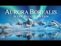 Aurora Borealis 4K Scenic Relaxation Film | The Northern Lights 4K with Ambient Music
