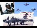 Fabio Consoli - Una Vita da Pilota - Rivolto - Comando di Gruppo - Aviazione Civile - Video 5