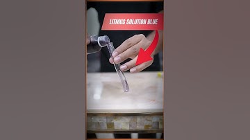 Vaginal Wash vs Soap –Which One is Safer? (Litmus Test Explained) #scienceexperiment #health #shorts