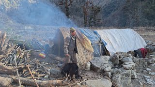 Himalayan Sheep Shepherd Life in Winter | Shepherd Food Cooking | Peaceful Himalayan shepherd Life