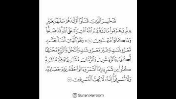 القارئ سعد الغامدي - سورة الأنعام - من الآية 140 إلى الآية 141