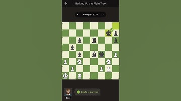 Chess.com daily puzzle solution 06 Aug 2025 #queensacrifice #fork #chess #puzzle #knight #queen
