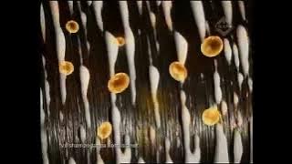 Iklan Pantene Conditioner - Eva & Rambut Pagi (2011)