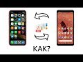 Как перенести данные с iPhone на Android (и наоборот) в один клик