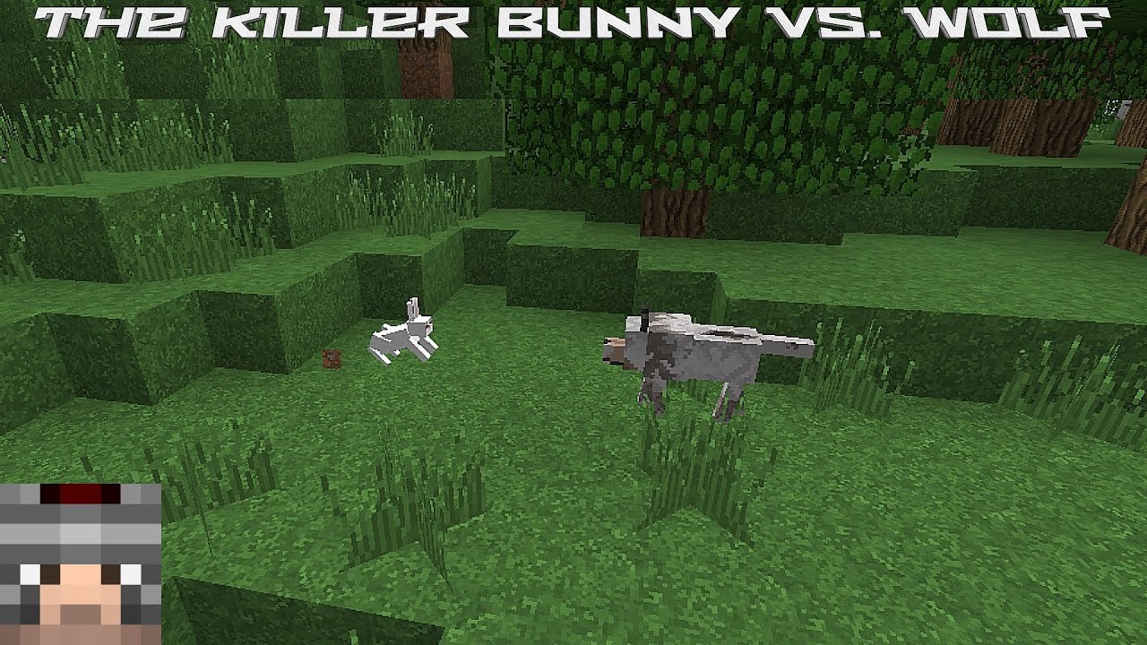 Minecraft killer. Команда в МАЙНКРАФТЕ на кролика убийцу.