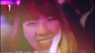 SHELTER X MIRACLE JUNGLE DUTCH 2025 BASS BETON !!!