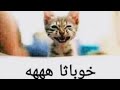 خوباثا ههههههه